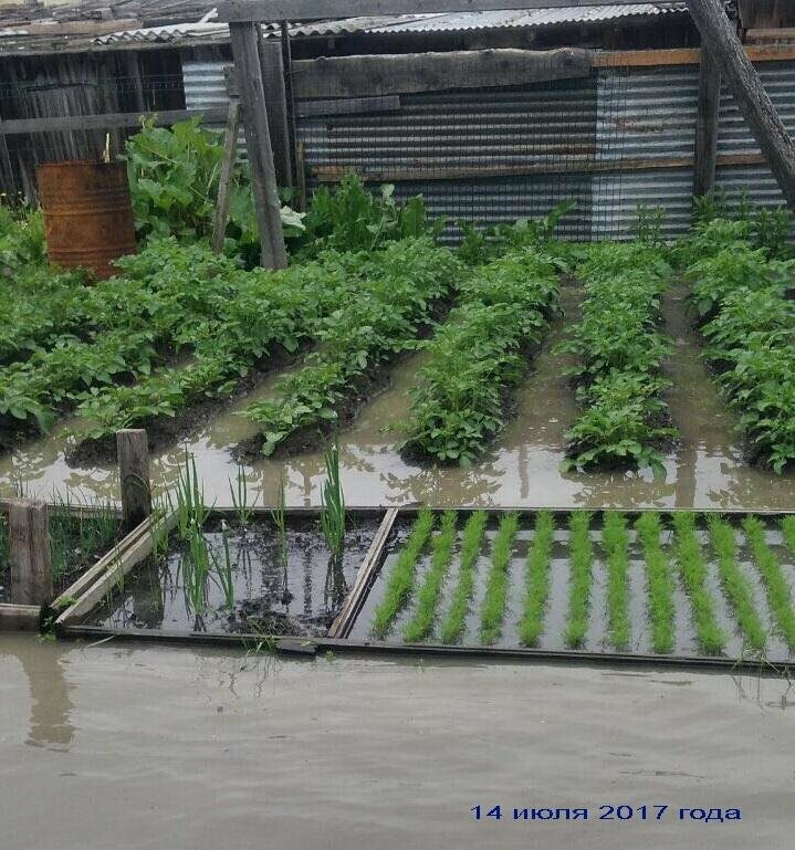 В Ачайваям отправили более 13 тонн свежих овощей, фото-1