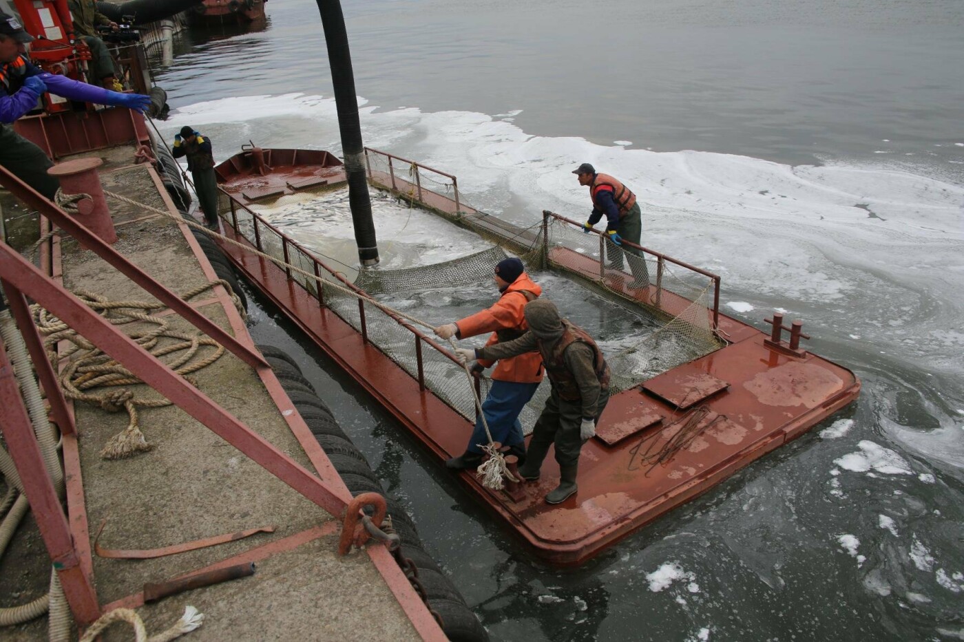 Ловись, рыбка! Камчатские рыбаки добыли уже более 320 тысяч тонн лосося, фото-6