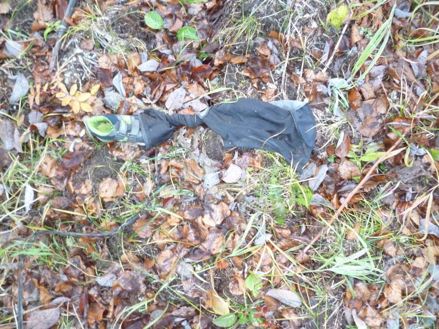 На Камчатке в лесу нашли вещи ребенка, пропавшего в июне, фото-2