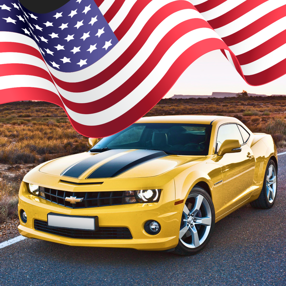 Американские автомобильные аукционы, фото-2