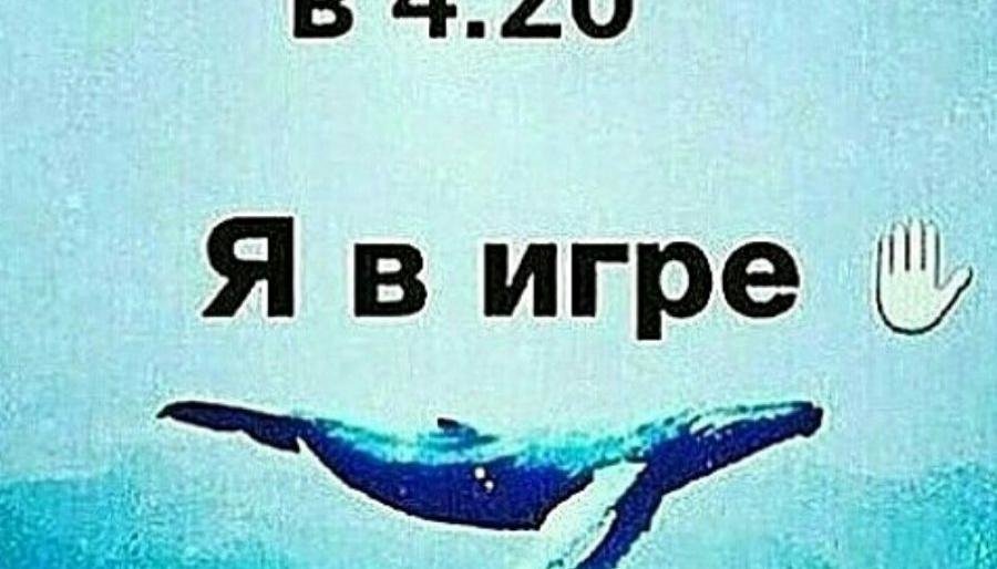 Камчатским детям не интересны «игры смерти»