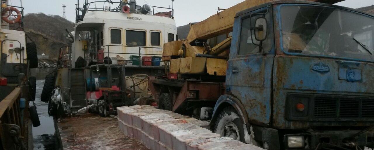 Три тонны браконьерской красной икры изъяли на Камчатке