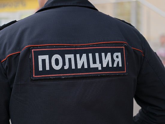 На Камчатке пьяный юноша сломал нос полицейскому и получил условный срок