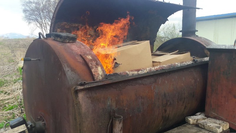 На Камчатке сожгли партию зараженных яиц из Приморья