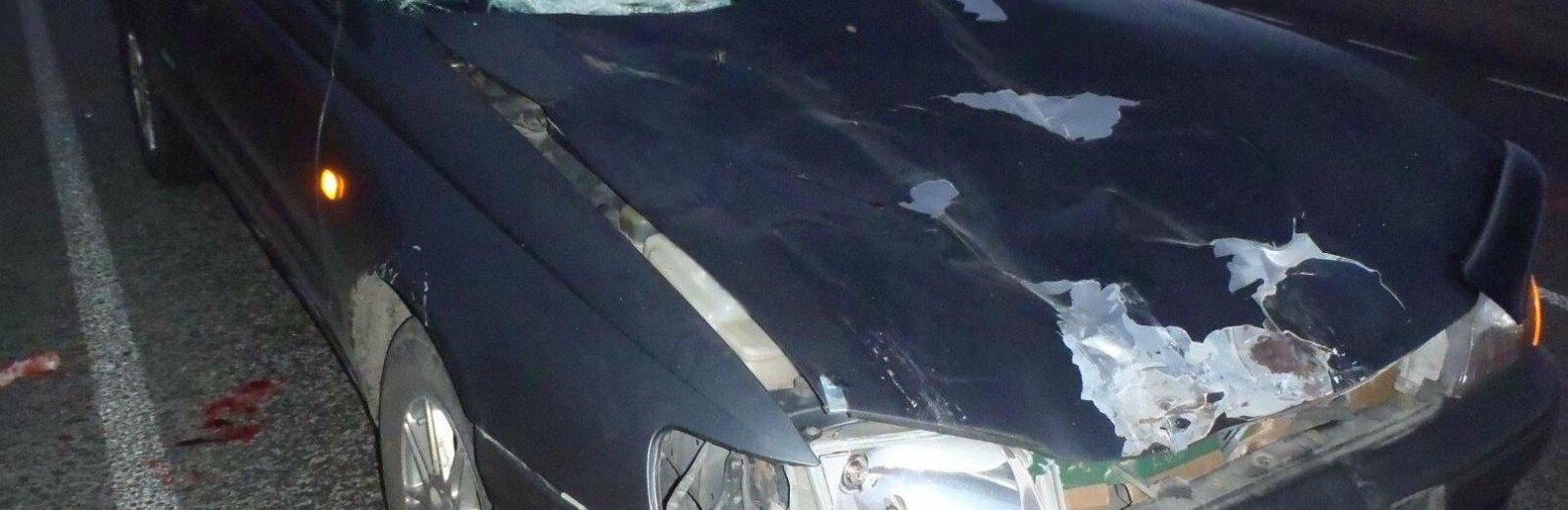 На Камчатке мужчину госпитализировали после столкновения с лошадью