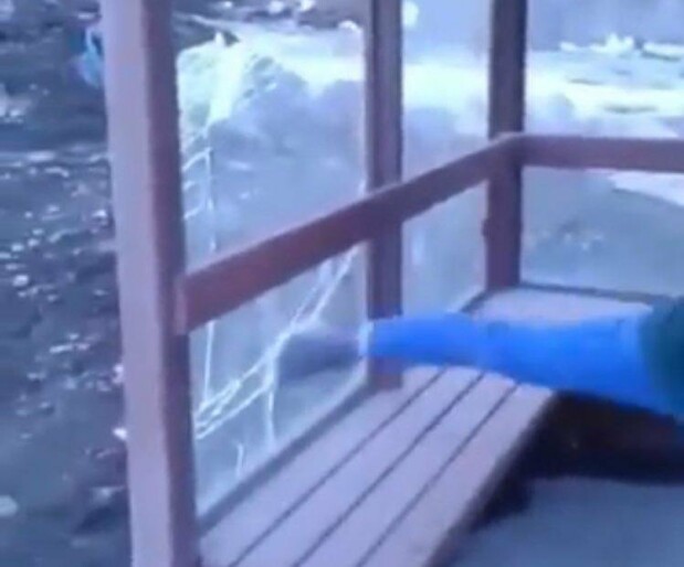 В Петропавловске школьники изуродовали автобусную остановку