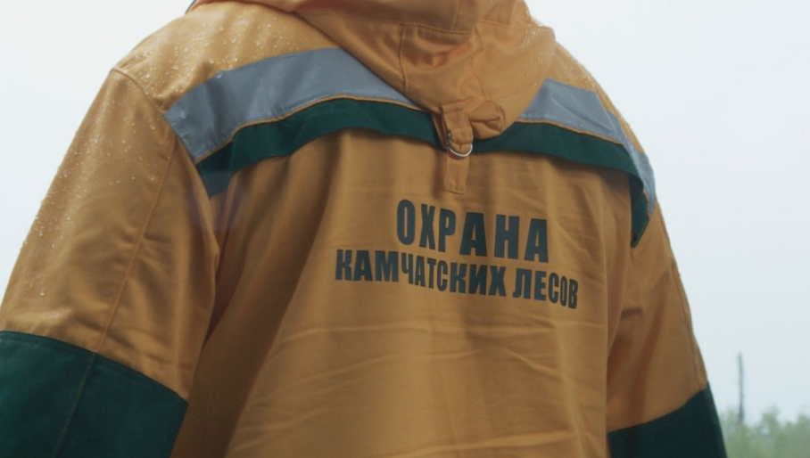 Фото: kamgov.ru