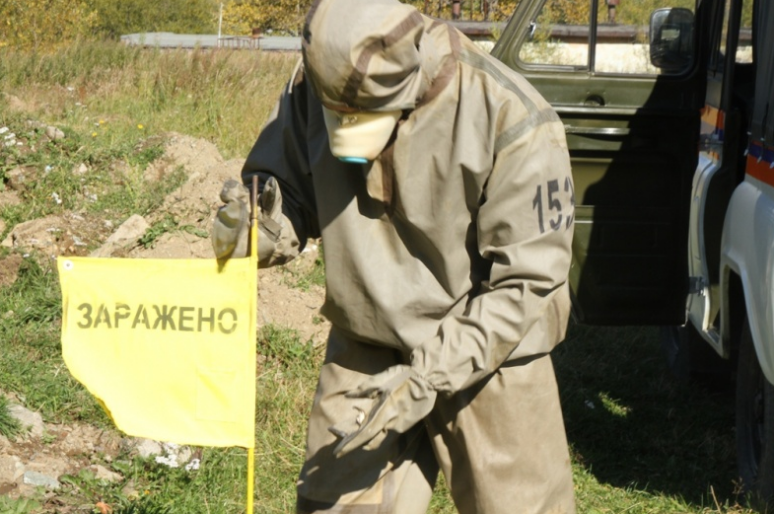 Фото: pkgo.ru