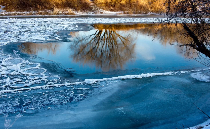 Фото: pixabay.com