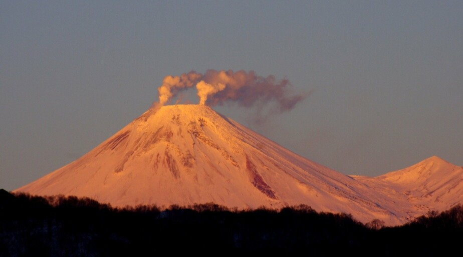 Фото: pixabay.com
