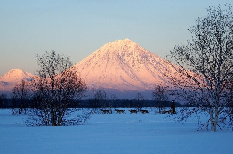 Фото: pixabay.com