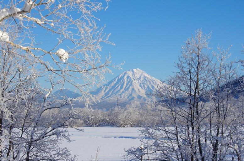 Фото: pixabay.com