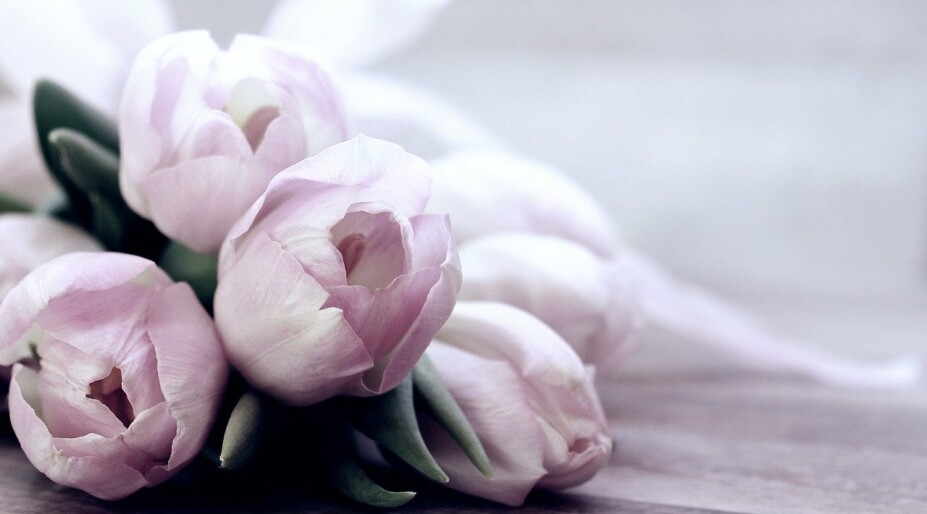 Фото: pixabay.com