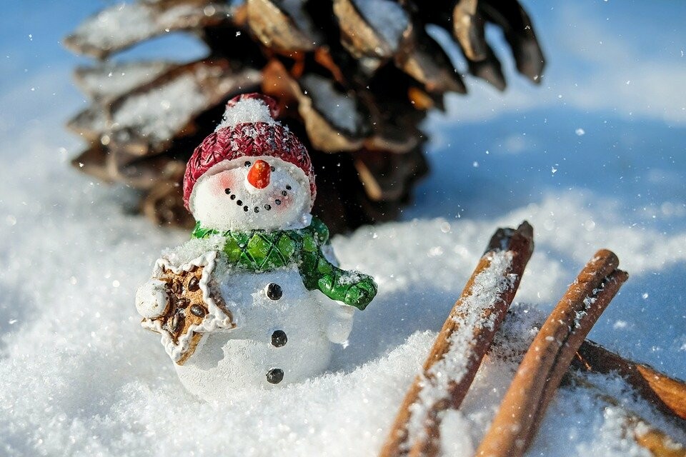 Фото: pixabay.com