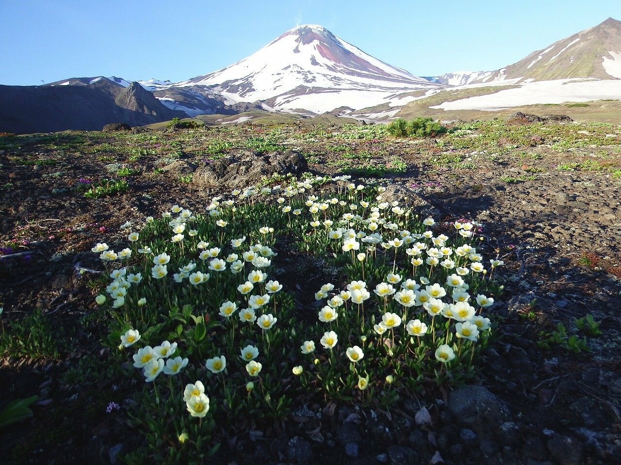 Фото: pixabay.com