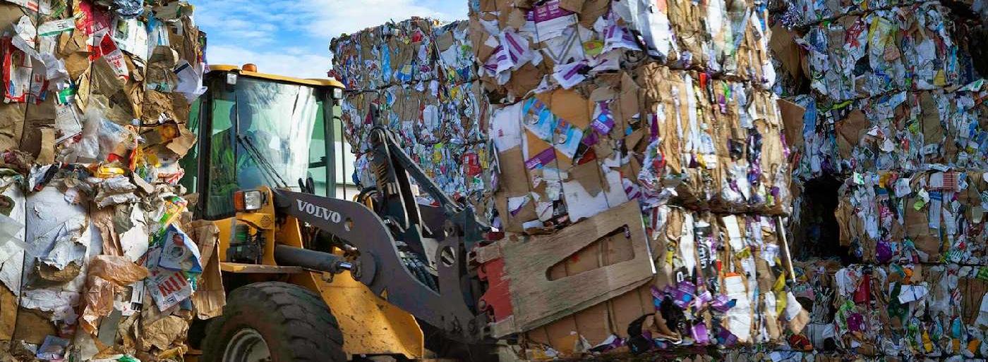 Камчатские депутаты предлагают утилизировать мусор инновационными технологиями