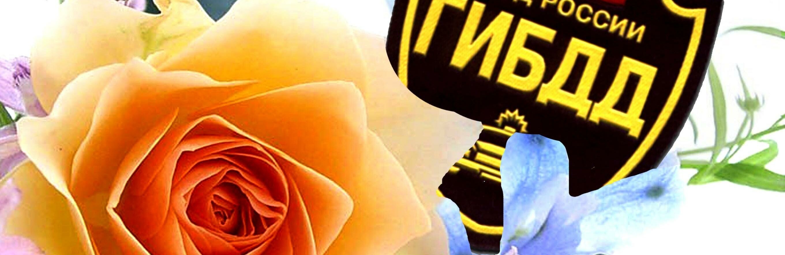 На Камчатке служба ГАИ-ГИБДД отмечает профессиональный праздник