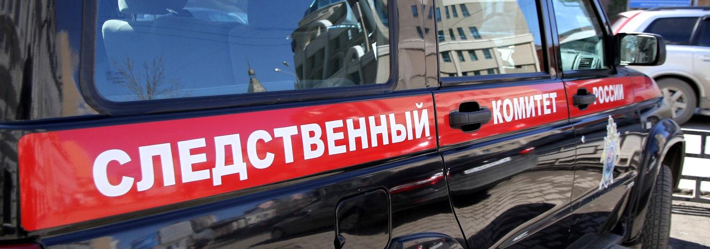 В Петропавловске скончалась 11-месячная малышка. СКР ведет проверку