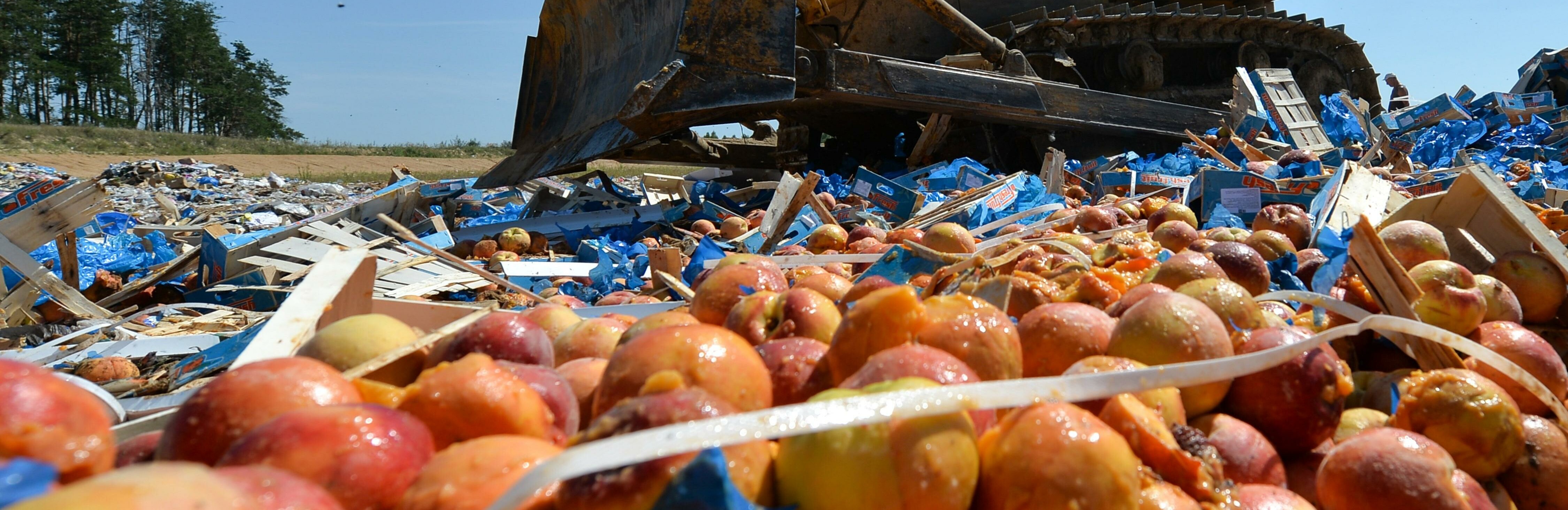 Санкционные персики уничтожат на Камчатке