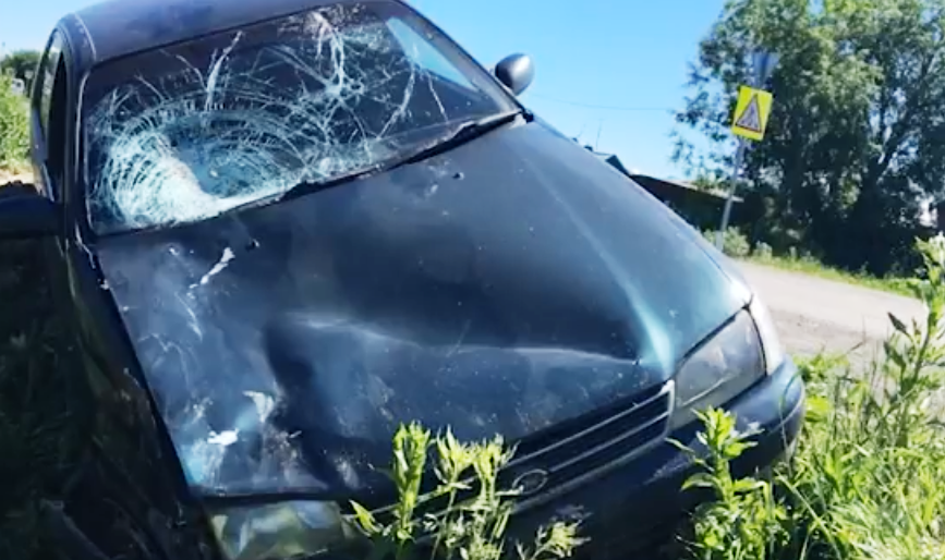 На Камчатке автостопер попал в реанимацию На Камчатке автостопер попал в реанимацию