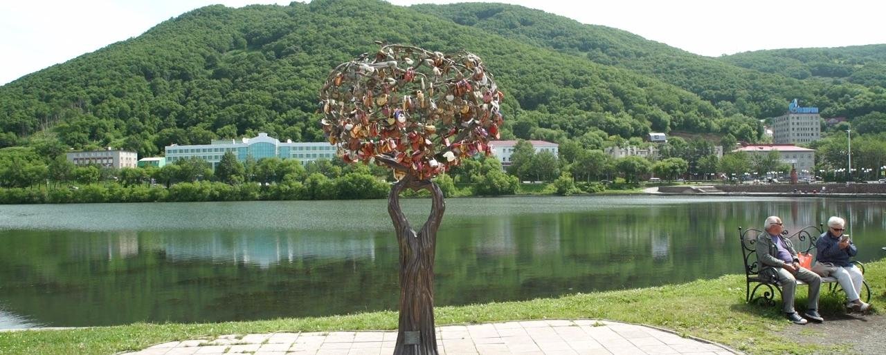 «Дерево любви» в Петропавловске  страдает от рук вандалов