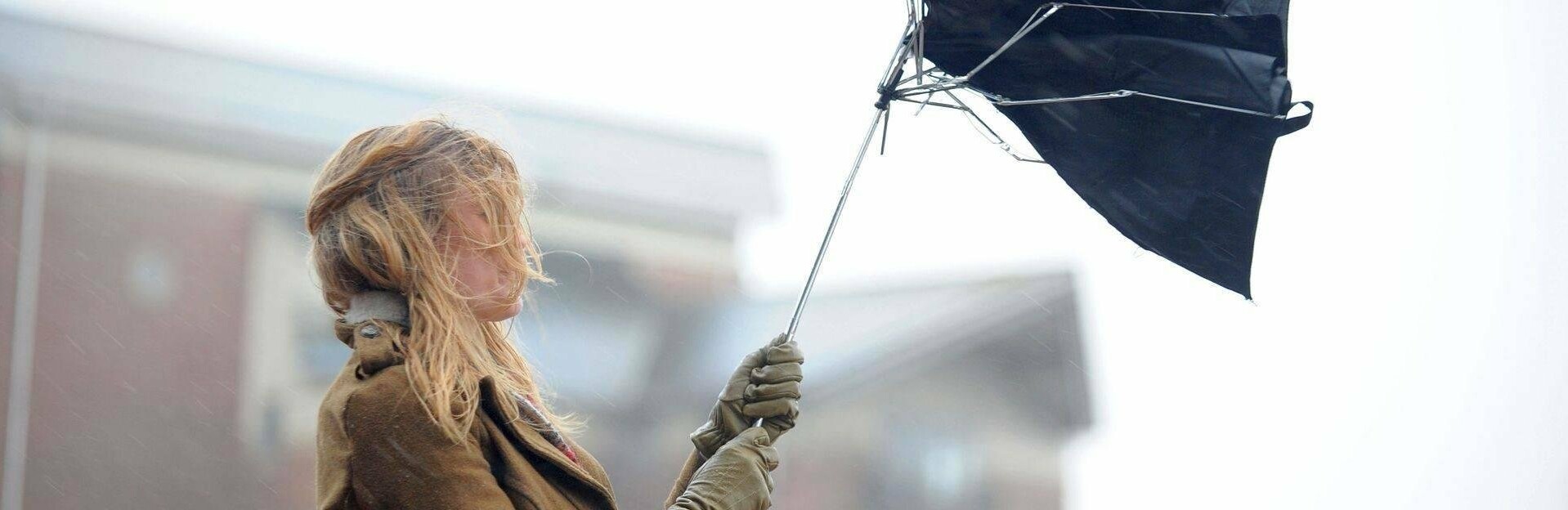 На Камчатку движется новый циклон На Камчатку движется новый циклон