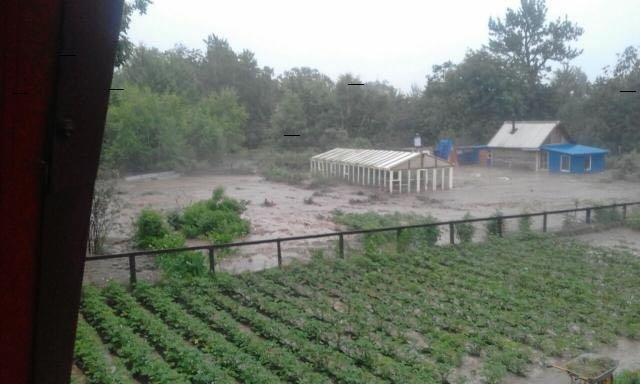 «Это полная *опа» - десятки дачных участков затопило на «Пятой Стройке»