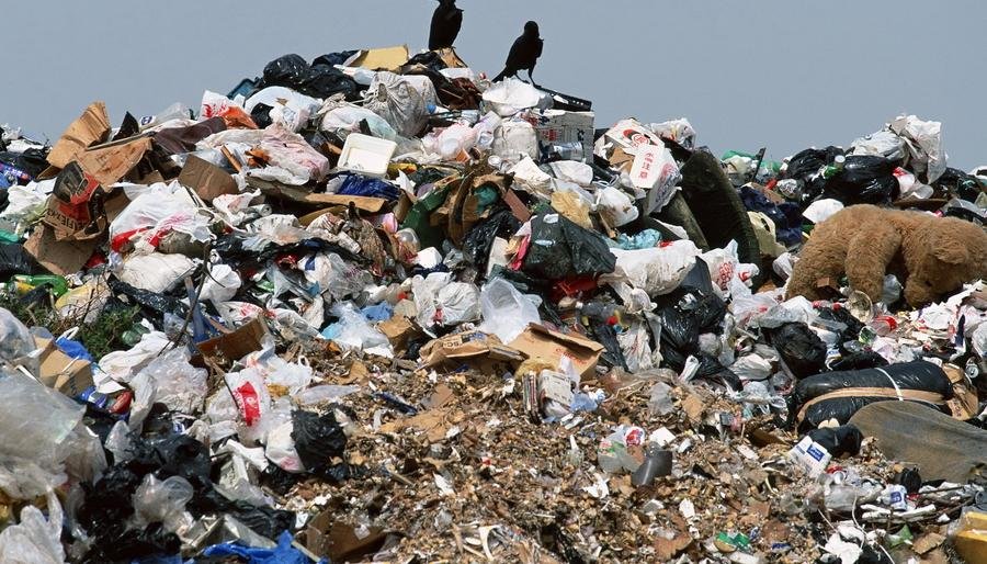 Чиновников Петропавловска обязали заняться нелегальными свалками