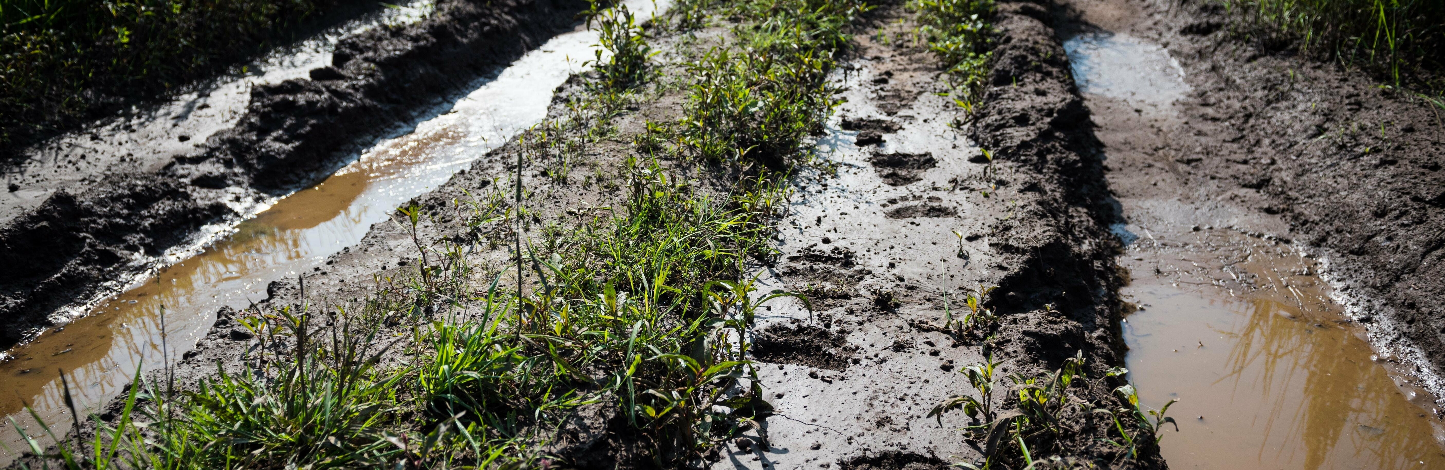Зловонное озеро отравляет воздух в Чапаевке