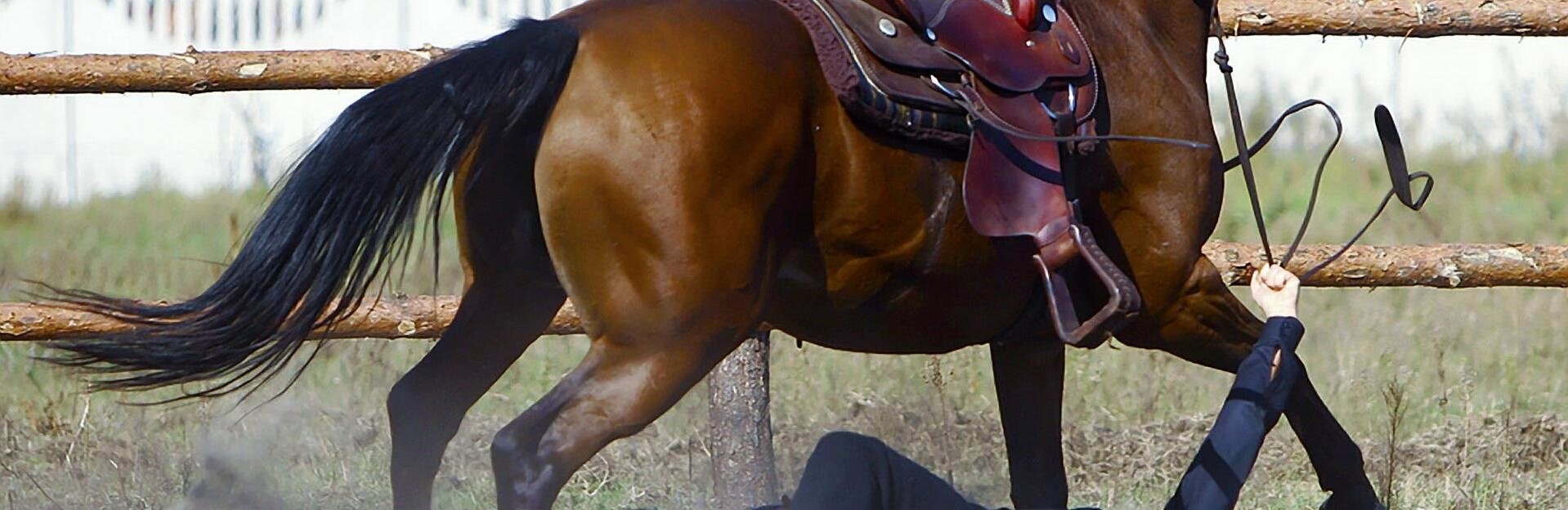 В ЧП с корейскими туристами на конной прогулке разберется камчатский следком