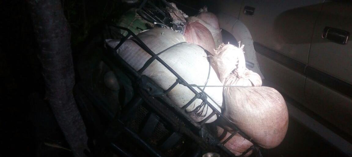 На Камчатке браконьер наехал квадроциклом на инспектора Росрыболовства