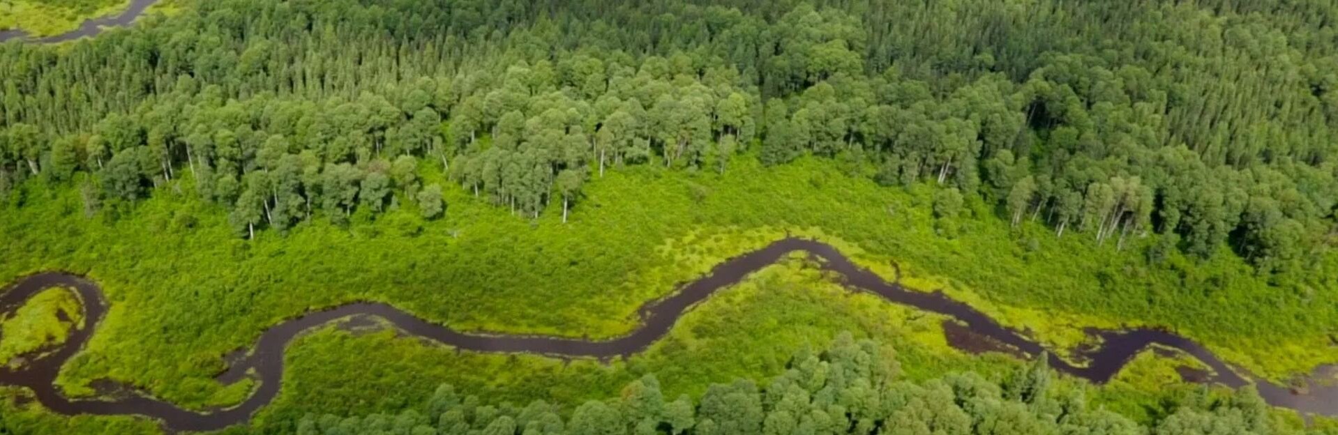 ГЕКТАР ЕСТЬ, А ТОЛКУ НЕТ  ГЕКТАР ЕСТЬ, А ТОЛКУ НЕТ