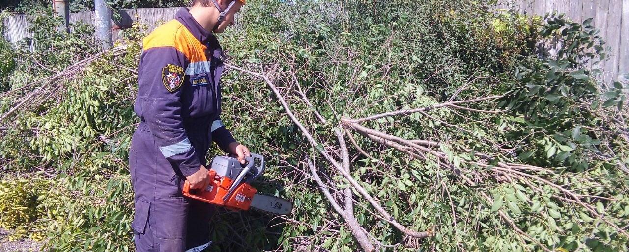 Камчатские спасатели убирают нефтепродукты с огородов в Приморье