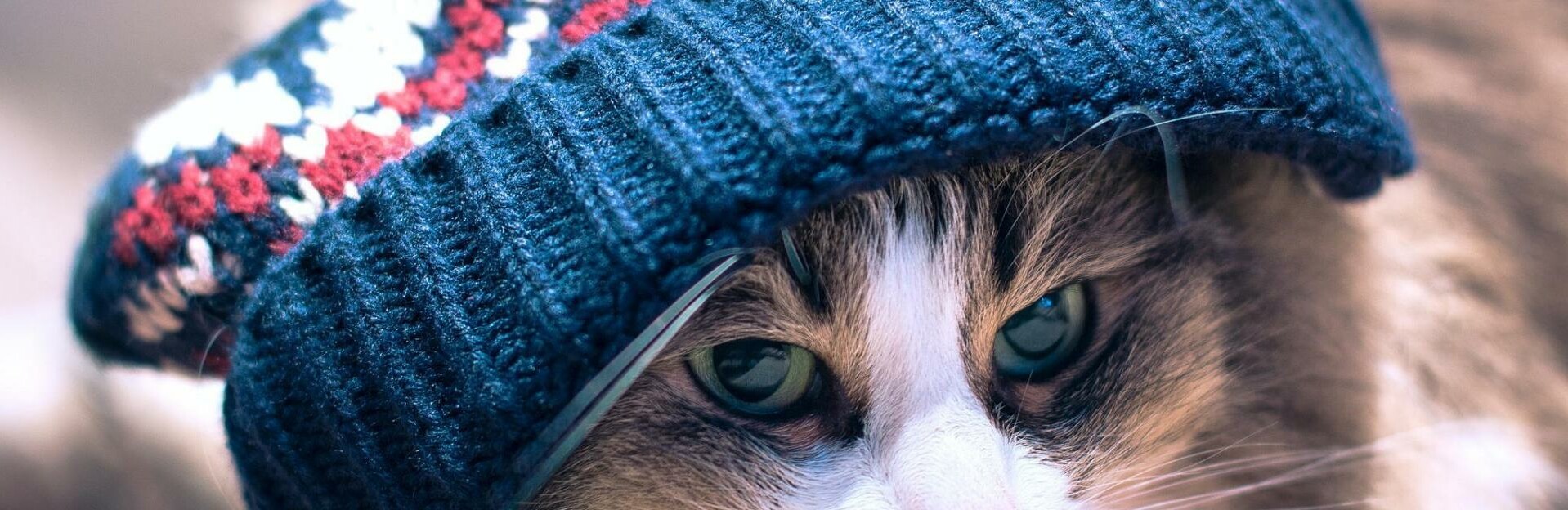 Камчатка готовится к сезону «теплых батарей»