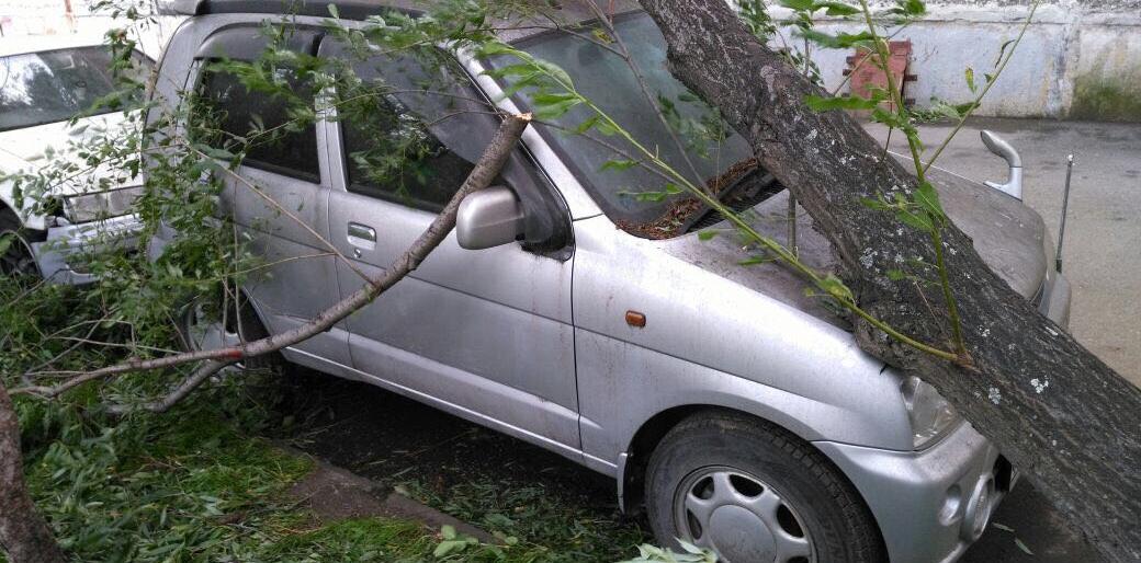 Мэр Петропавловска поручил ликвидировать последствия циклона максимально быстро