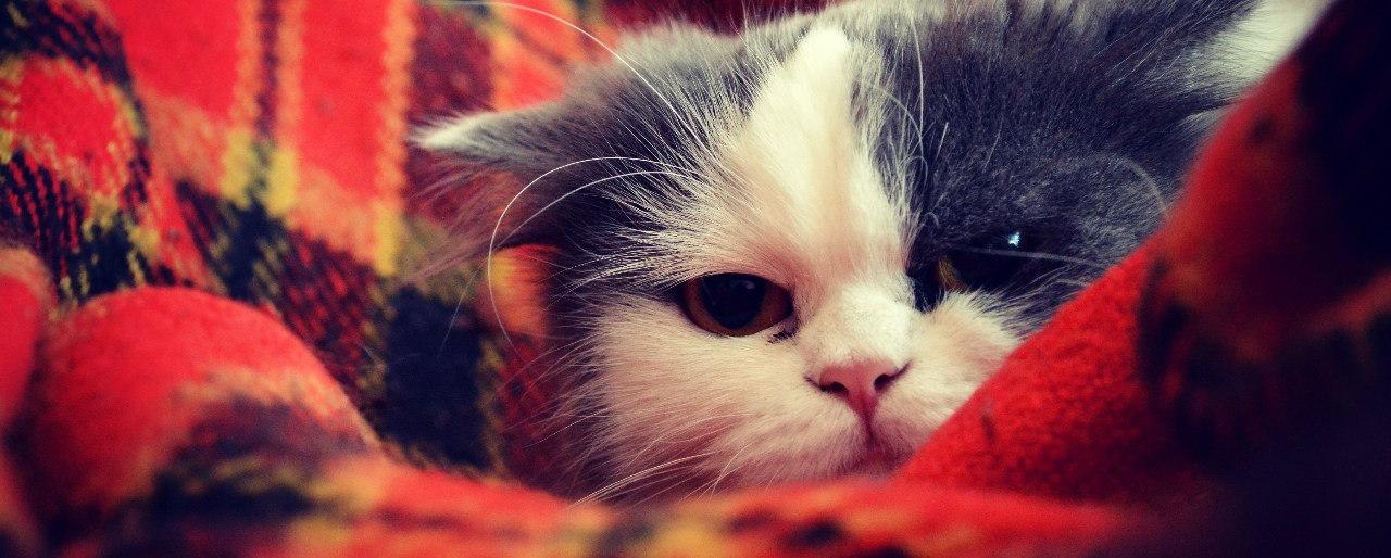 На Камчатке начинается отопительный сезон