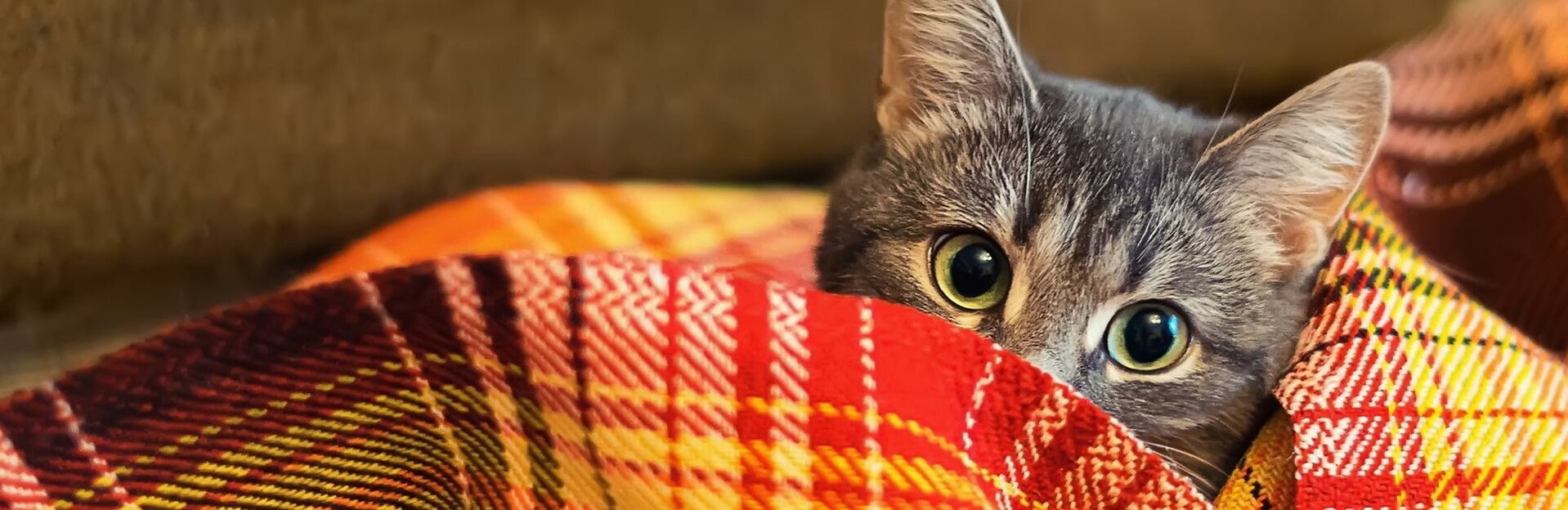 Тепло в Петропавловск придет только через неделю