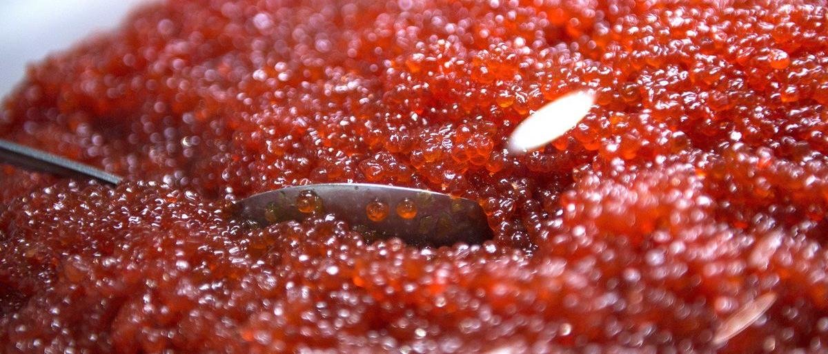 Смертельно опасный деликатес изъяли на Камчатке