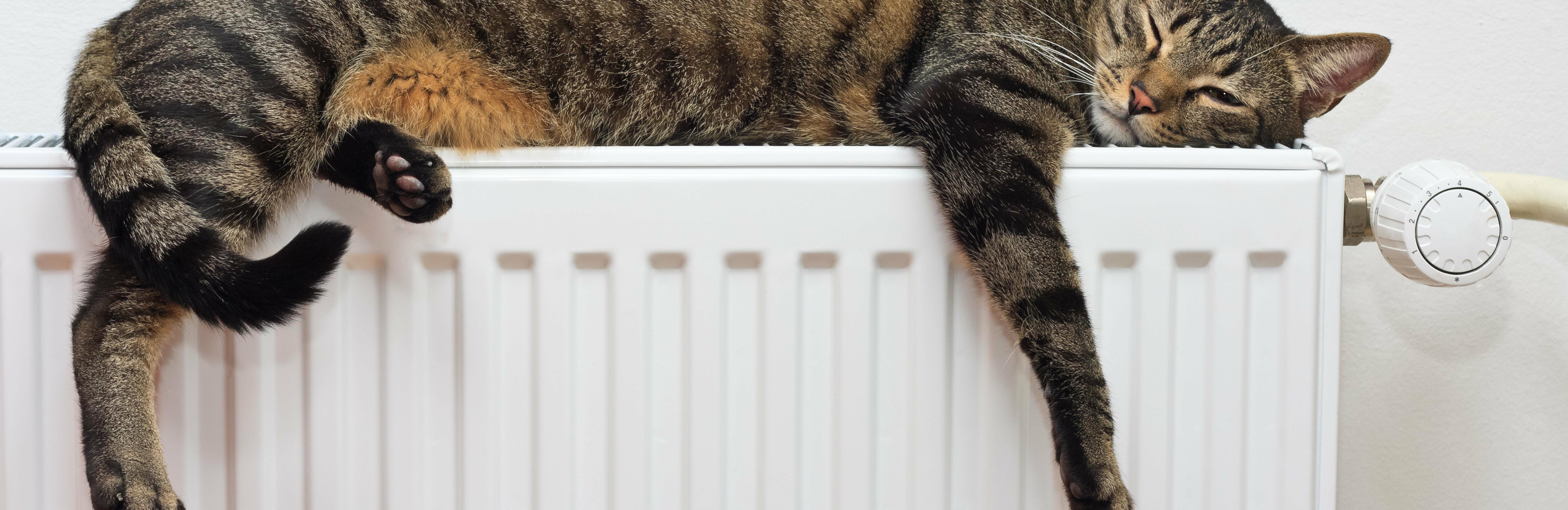 Отопительный сезон стартует в Петропавловске завтра