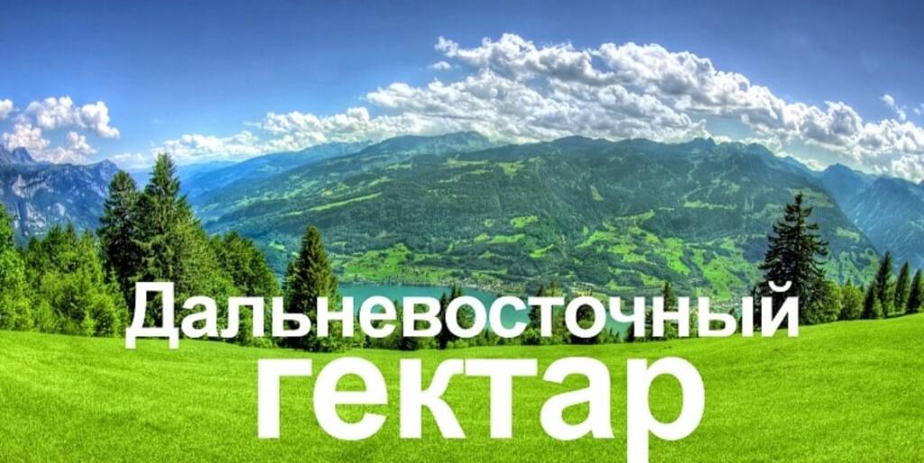 Охотничьи угодья включили в программу «Дальневосточный Гектар»