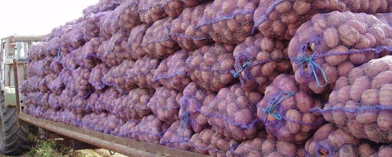 В Ачайваям отправили более 13 тонн свежих овощей