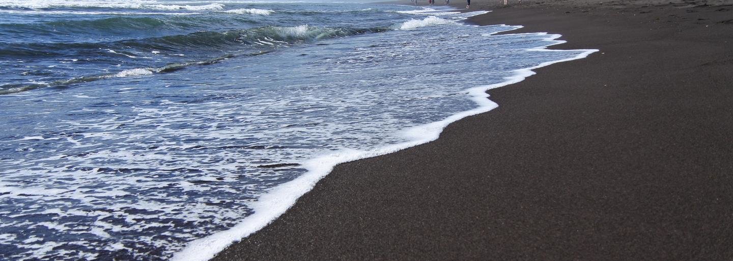 На Камчатке трое браконьеров заплатят по 30 тысяч рублей штрафа На Камчатке трое браконьеров заплатят по 30 тысяч рублей штрафа