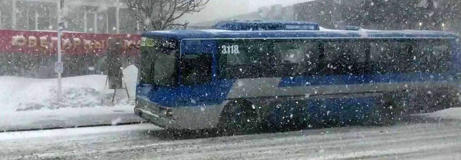 Где автобусы?