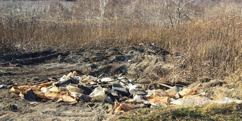 Паратунскими чиновниками, солгавшими в суде про свалку, займется СКР