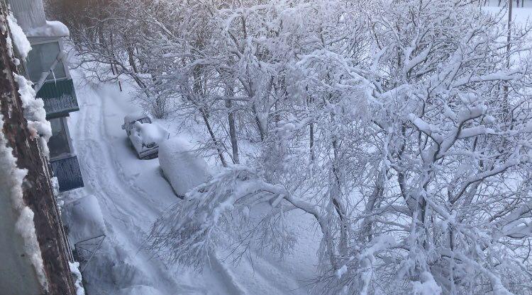 На Камчатке циклон за сутки принес  60% месячной нормы снега