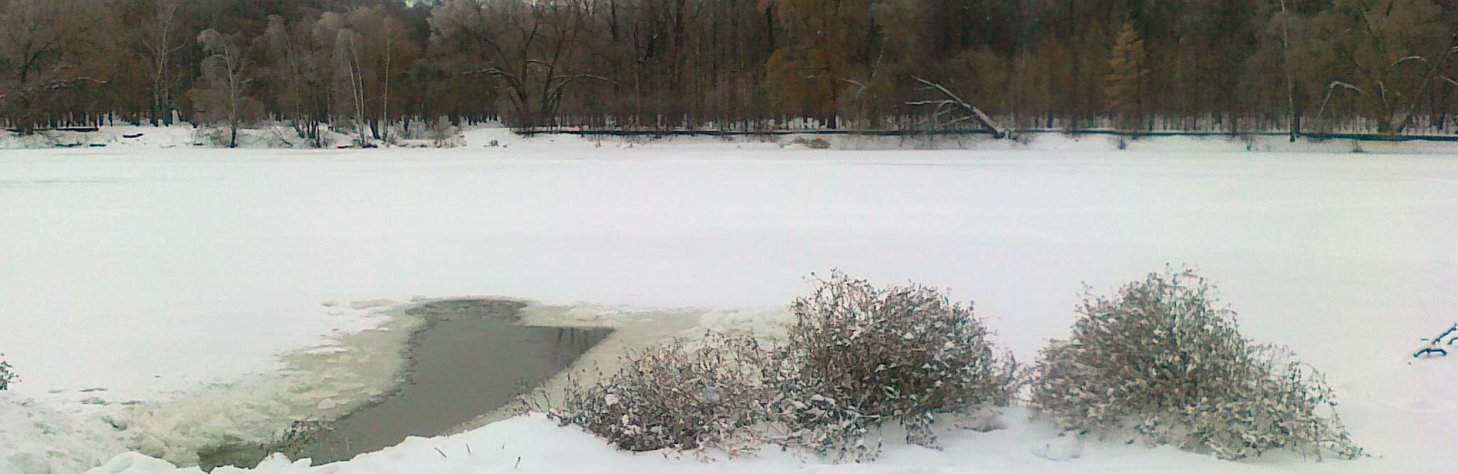 На Камчатке наградят школьниц за спасение одноклассника