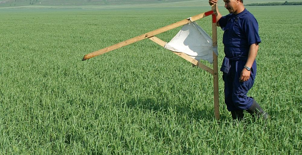 Предельную стоимость кадастровых работ для владельцев «Дальневосточ... Предельную стоимость кадастровых работ для владельцев «Дальневосточных гектаров» утвердили на Камчатке