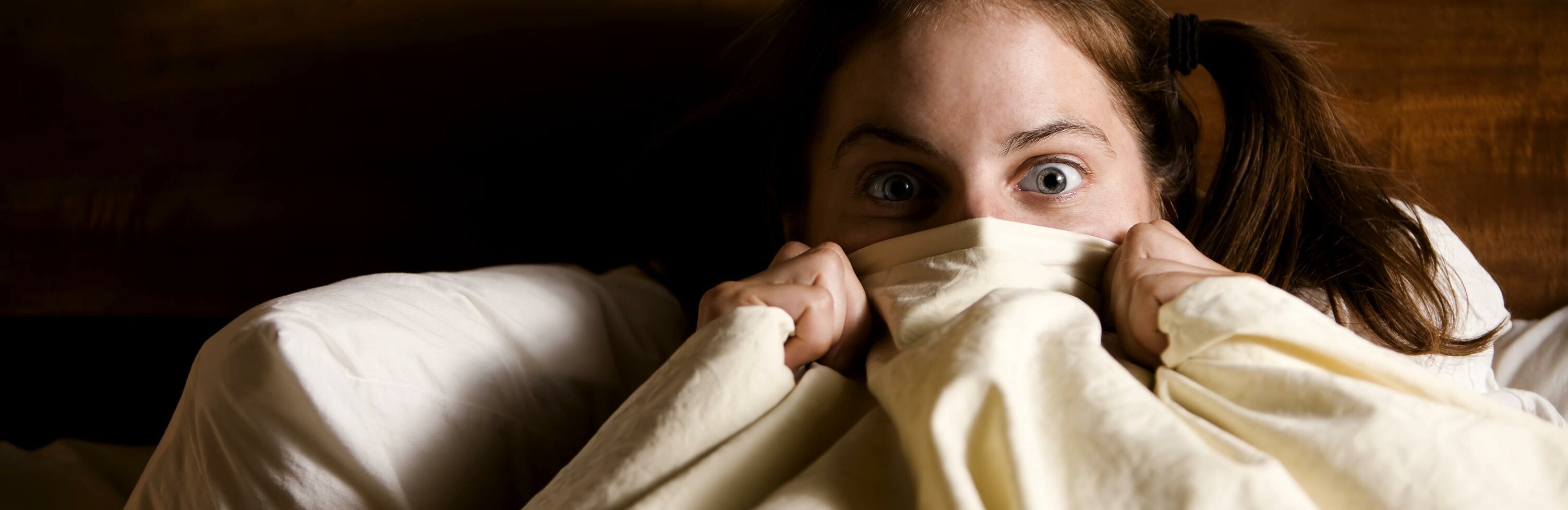 Землетрясение разбудило ночью жителей Петропавловска 