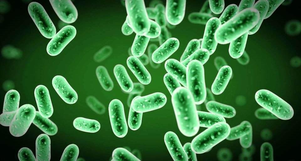 На Камчатке людей травили в местном кафе