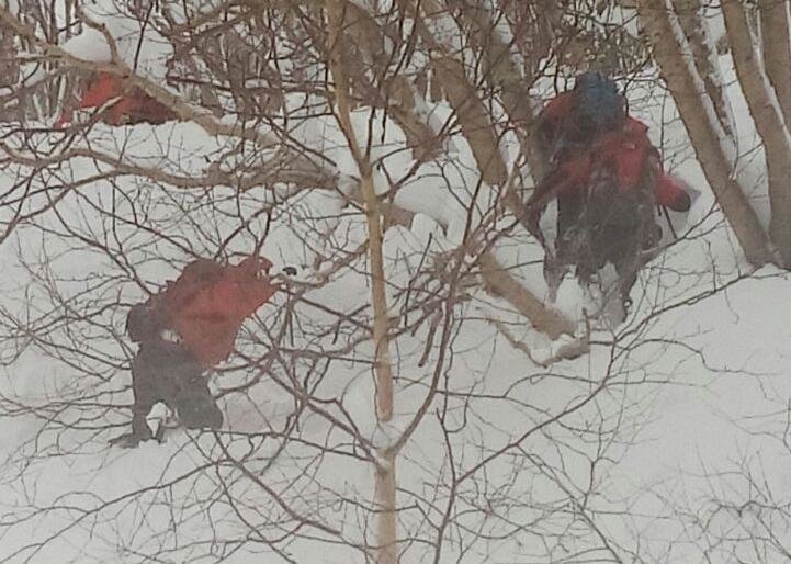 На Камчатке спасатели протаптывают лавиноопасные склоны 